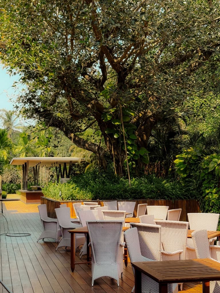 Lush tree canopy shaded garden terrace dining on hardwood timber deck